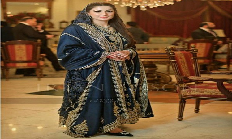 Maryam Nawaz Top 10 Amazing Pictures Of Pakistan S Leading Politician