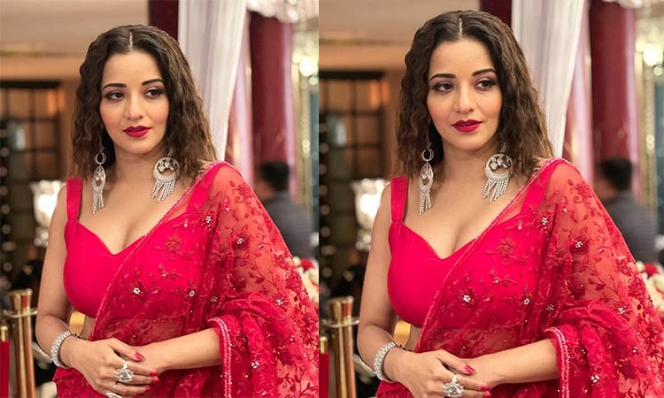 Monalisa Paints It All Pink In A Sheer Saree And Backless Blouse