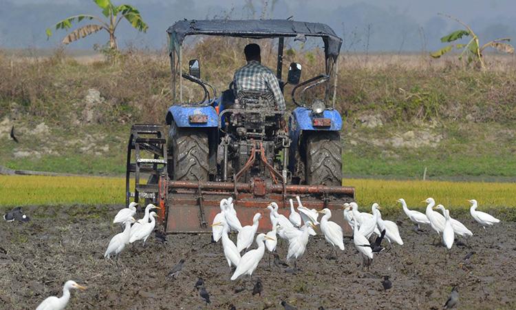 Farmer protest