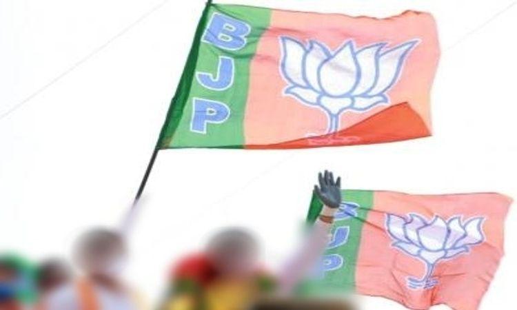 BJP-Flags