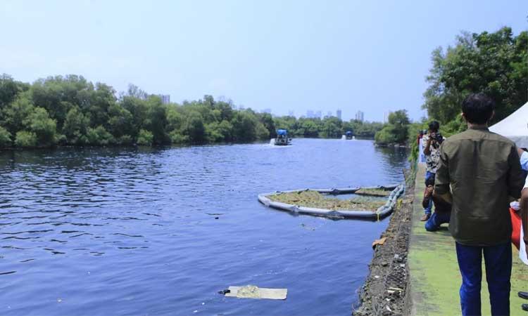 Mithi-River