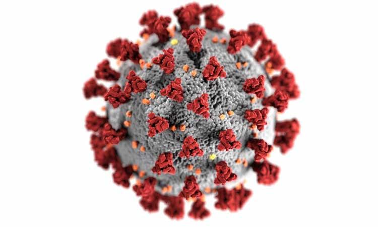 Coronavirus-Graphic