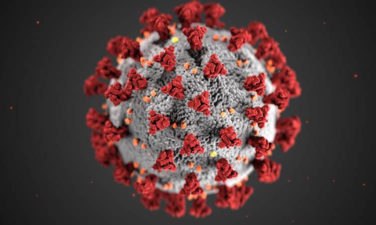 COVID 19-Coronavirus-SarsCoV2-United Kingdom