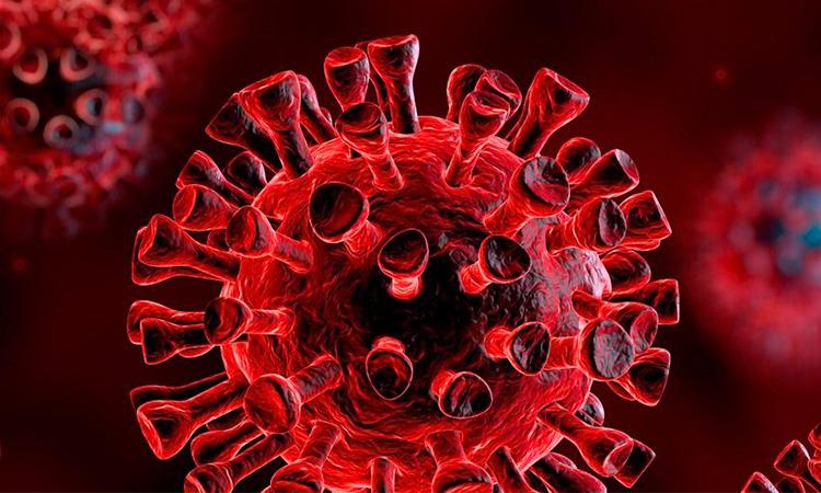 Coronavirus