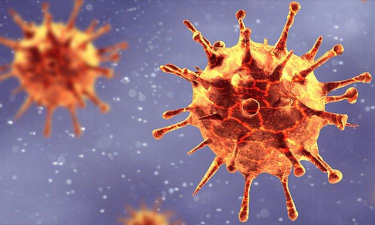 coronavirus
