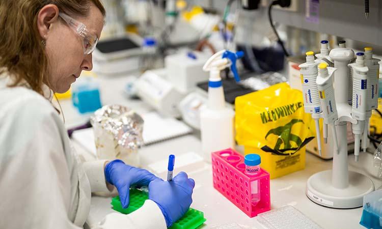 European Union-United Kingdom-COVID19-COVID vaccine