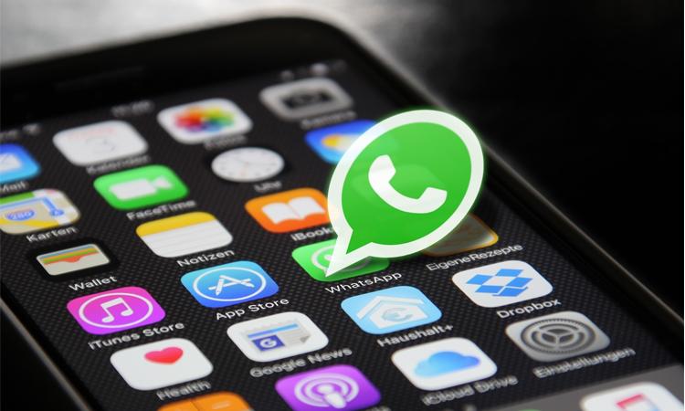 WhatsApp-Graphic