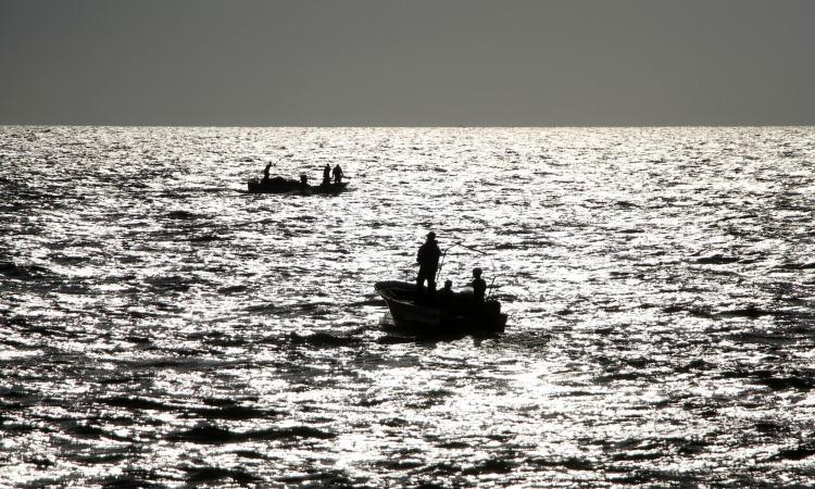 Patrol-Boats