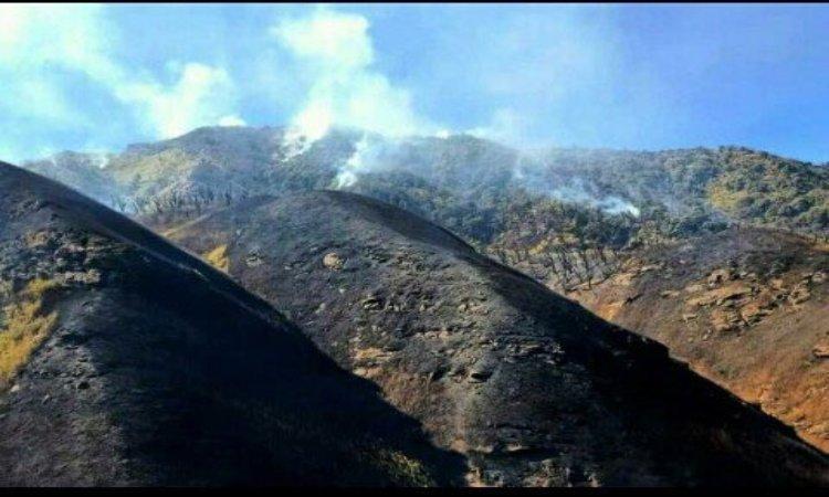 Manipur-Wildfire