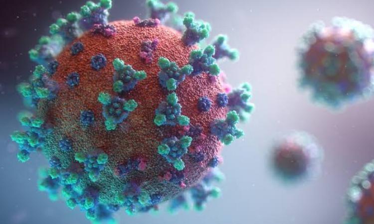 Covid-19-Strain-Graphic