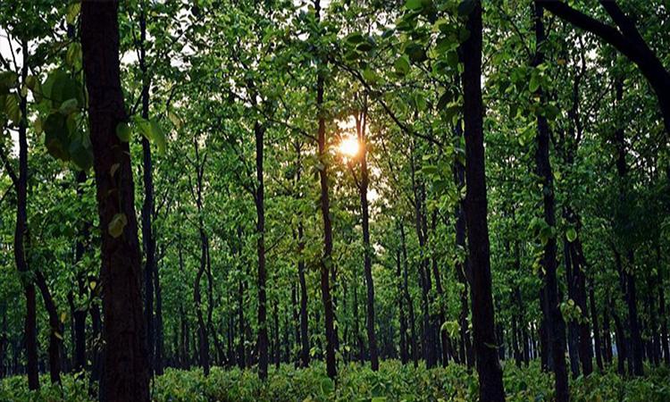 Atmospheric CO2 to pass iconic threshold in  2021