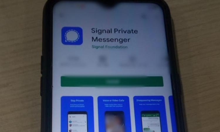 Signal