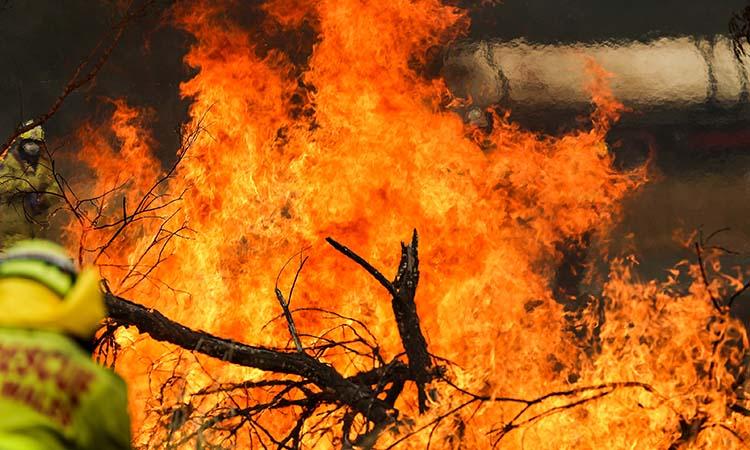 Bushfire danger elevated as heatwave continues in Australia