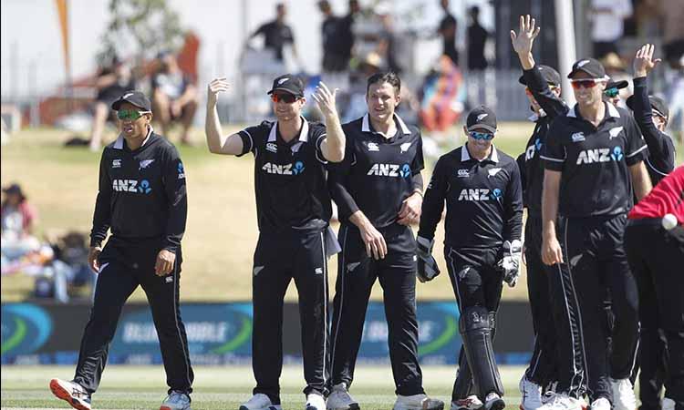 New Zealand-Dream 11-NZC