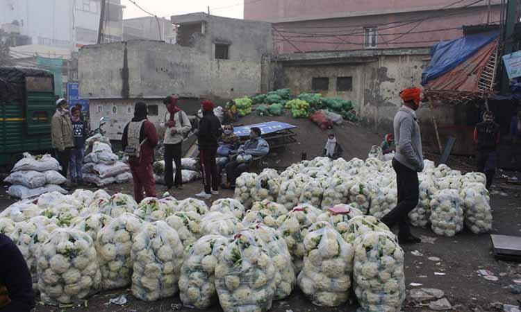 Uttar Pradesh-Farmer-Cauliflowers-APMC