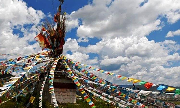 Tibet, Tibet dispute, Tibet dispute with south Asia