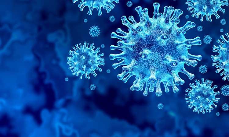 Covid 19, Blood Group, Human Blood, Researchers debunk Covid link with blood group