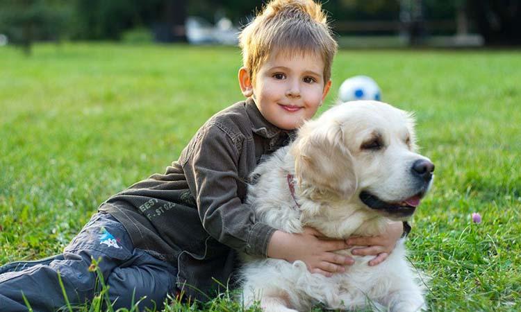 Pets eased childrens loneliness in lockdown, Lockdown depression, Lockdown effect on mental health