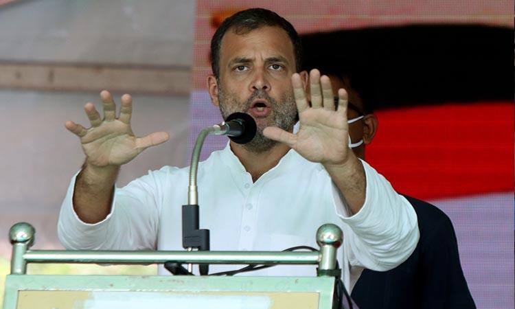 rahul Gandhi, Rahul Gandhi on migrants, Rahul Gandhi campaigns, Put money into migrants accounts Rahul