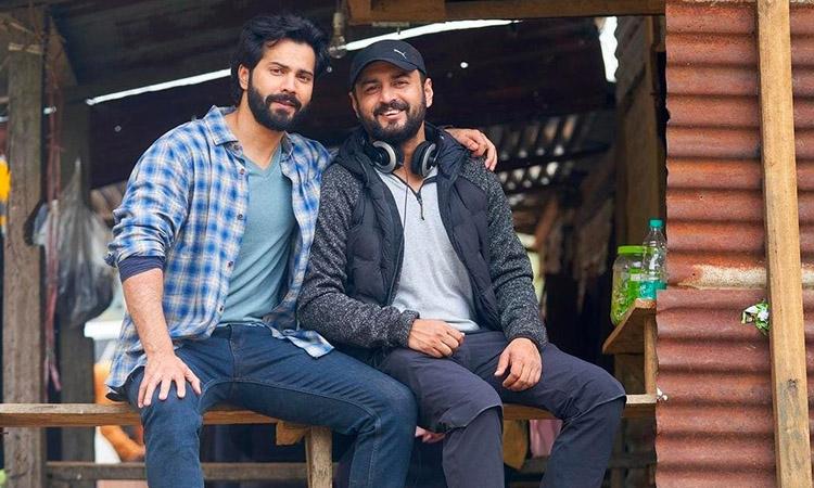 Bollywood, Varun Dhawan, Varun Dhawan latest movie,  Varun Dhawan latest picture