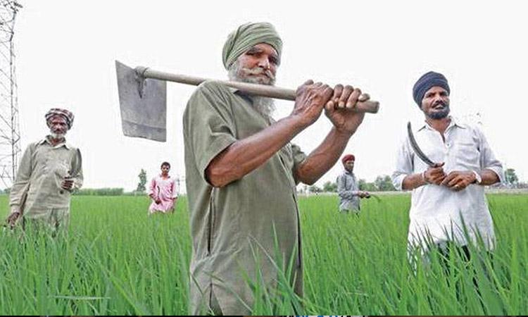Punjabi Farmers, Punjabi farmers accounts, Rs 8,180 cr transferred into Punjab farmers accounts, DBT Centre