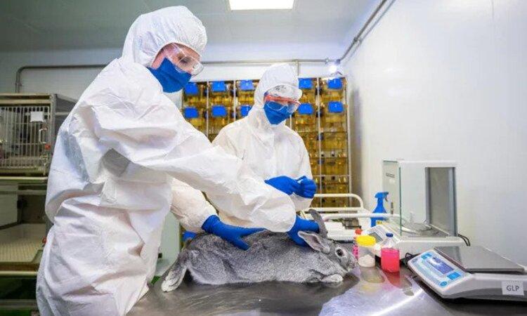 Russia, Covid vax for animals, Russia begins production of Covid vax for animals, Russia produce covid 19 vaccine, Covid 19 vaccine for animals