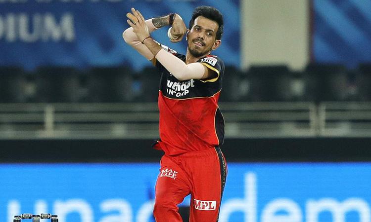 Royal Challengers Banglore, Virat Kholi, Yuzvendar Chahal, Chahal's spot not under scanner, RCB coach, Chahal perfomace