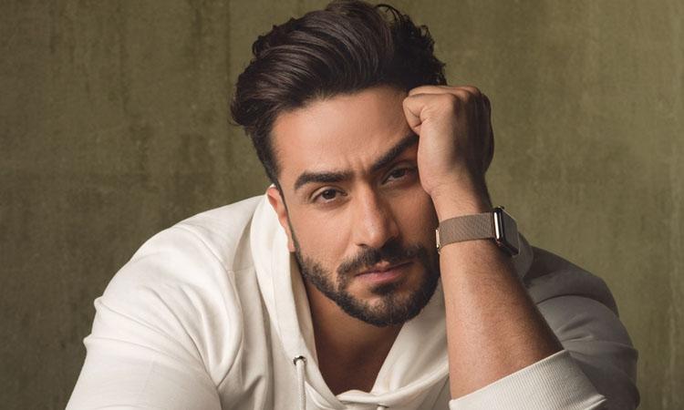 TV Star-Aly Gony-Bigg Boss-Covid 19