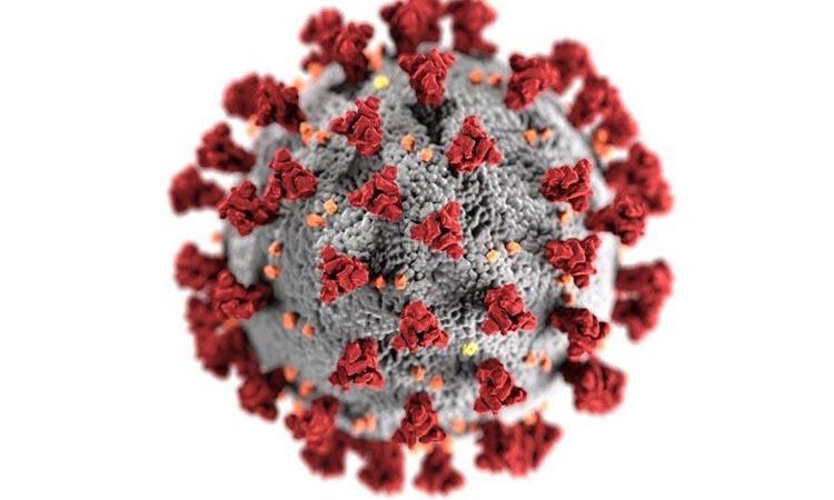 COVID19-Coronavirus-SAR-CoV-2