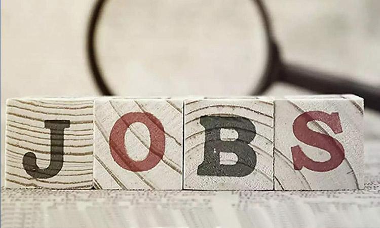 Jobs, employment, employment rate  employment in India, Job activity declined in April, Job activity declined in most Indian industries in April