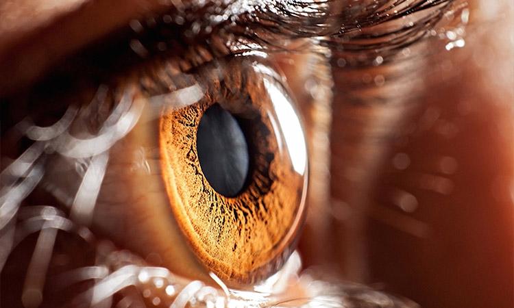 covid 19, Covid 19 symtoms, Covid 19 prevention, Covid 19 India, Lockdown, Covid-19 can infect cells in eye: Study,  Covid 19 effect on body