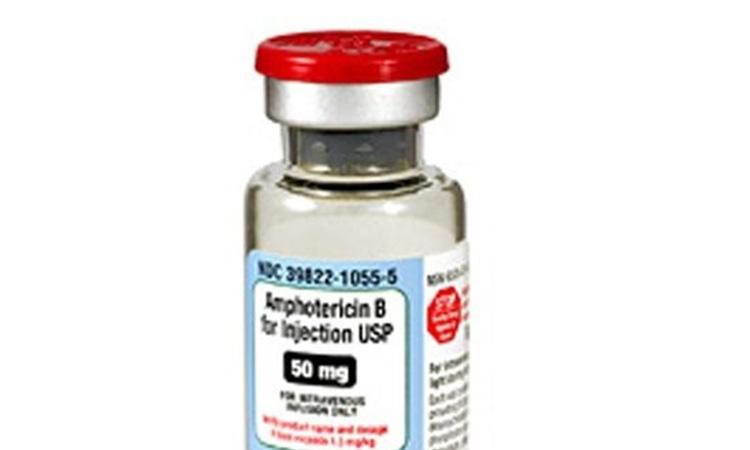 Government to import 3,63,000 vials of Black Fungus medicine Amphotericin-B