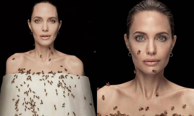 Angelina-Jolie