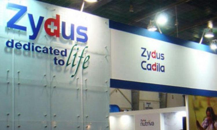 Zydus