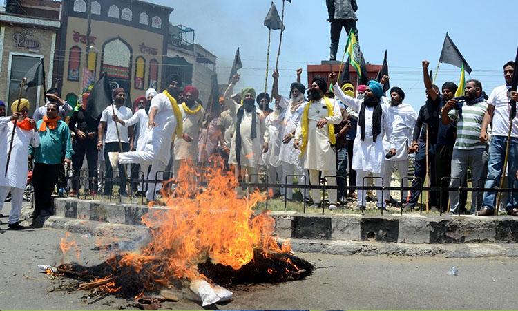 Farmer Protest, Farm Bills, Farmer Union, Black Day, Farmer protest in Delhi, Farmers protesting farm laws in Punjab, Haryana observe 'Black Day'