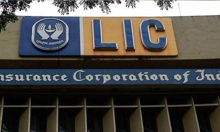 LIC, LIC policy, LIC insurance, LIC premium, LIC earns Rs 1.84 trillion, LIC's holding at all time low on profit booking
