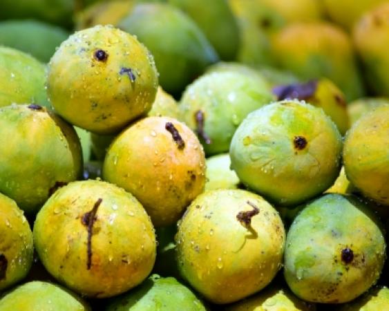 mangoes