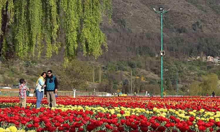 Kashmir tourism in top gear towards revival