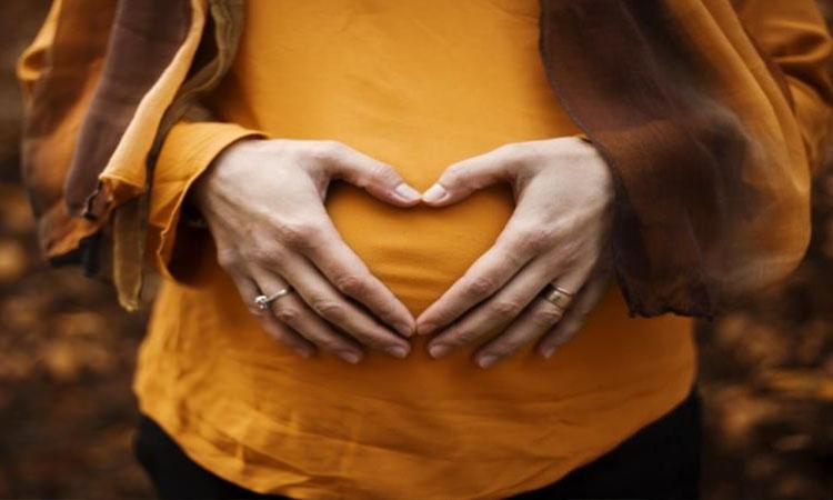 Pregnancy, Pregnancy after menopause?, Pregnancy periods, Pregnancy precautions