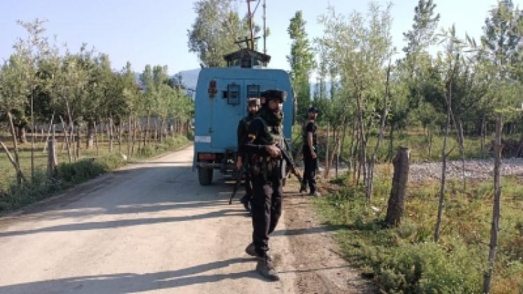 Kashmir