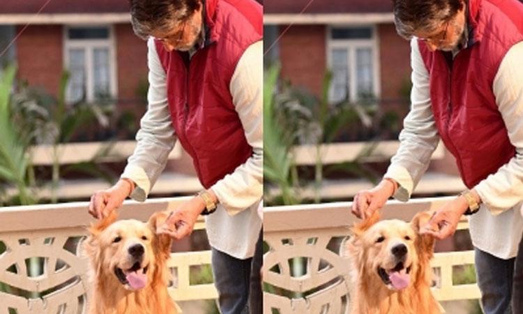 Amitabh-Bachchan