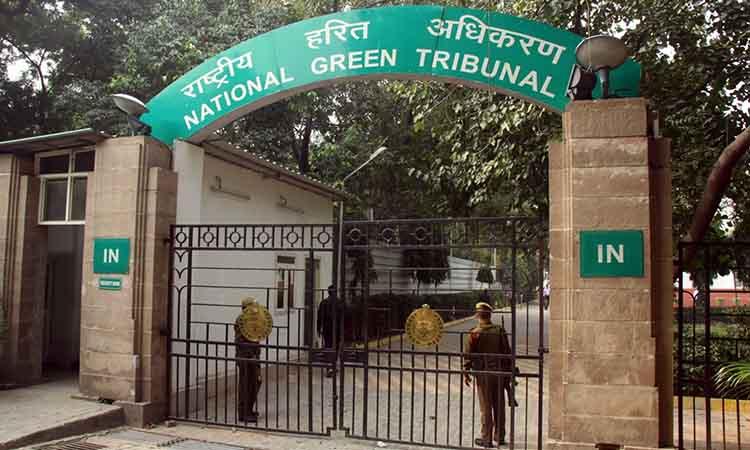 Disappointed: SC pulls up NGT, stays Baghjan 10-member panel