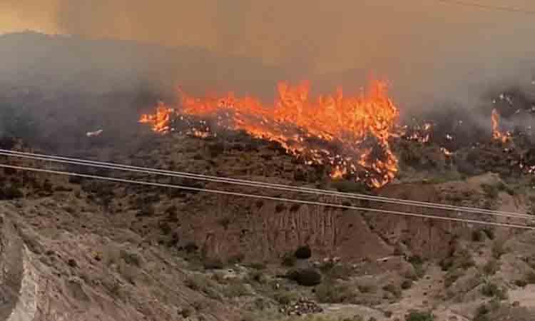 2 US firefighters killed while battling wildfire