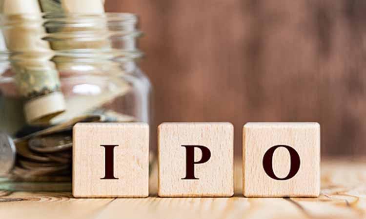 Major headway for LIC IPO with CCEA's green signal