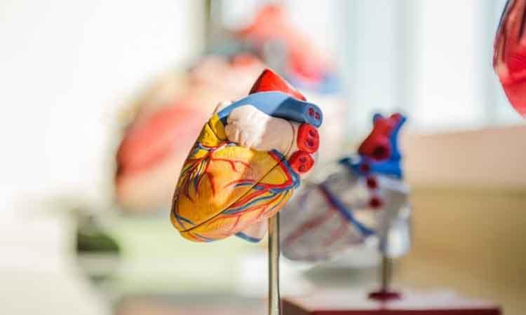 What to keep in mind for good heart health post angioplasty