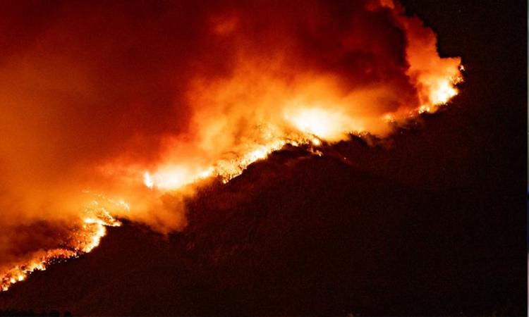 Red-Apple-Fire-in-Washington