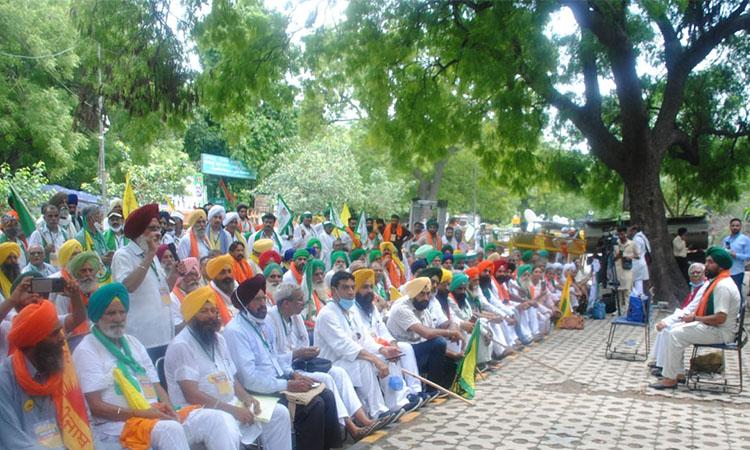 Farmer - Protest - at - Jantar - Mantar