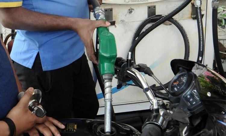 Petrol-diesel
