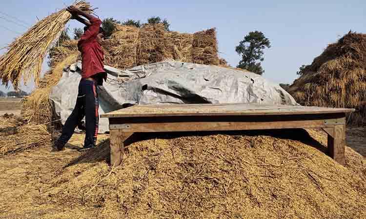 Farmer-working-field