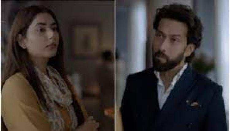 Actor-Nakul-Mehta-and-Disha-Parmar